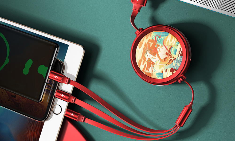 Gift-set-of-Multi-head-Cable-for-Electric-Devices-3